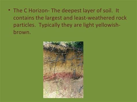 4.2 Weathering And Soil Formation