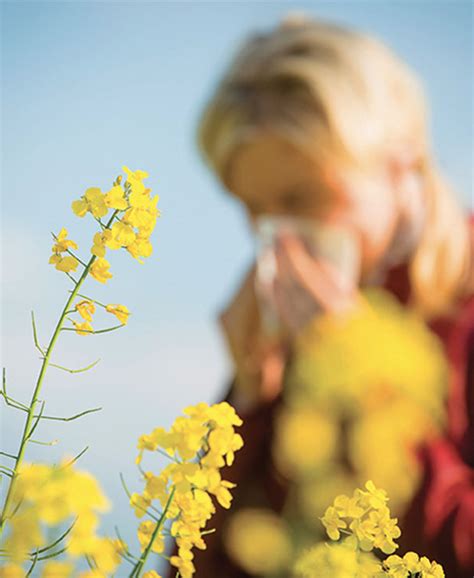 Lutter Contre Les Allergies Inexploré Digital