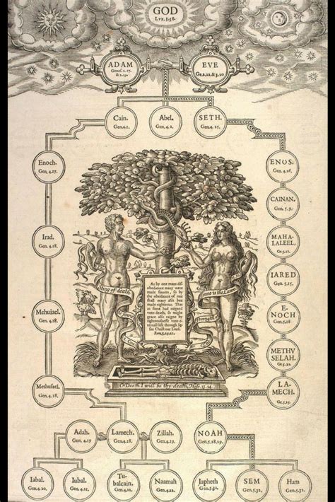 printable family tree  adam  eve printable study guides