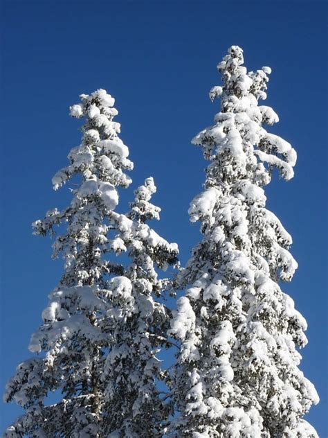 picture ice water snow cold nature winter frozen waterfall