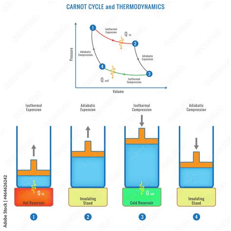 Ciclo De Carnot Formula - carnot cycle vector illustration labeled educational thermodynamic ...
