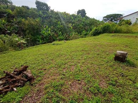 Venta Lote De Terreno En El Jard N Pereira Puntopropiedad