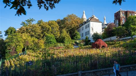 La F Te Des Vendanges Est De Retour Montmartre Le Bonbon