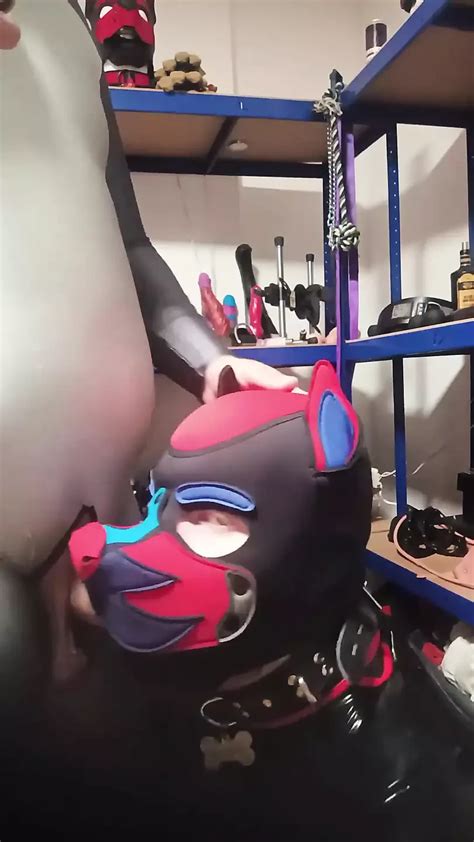 Vid Os Porno Animaux Films De Sexe Xxx Gratuits Gay Xhamster