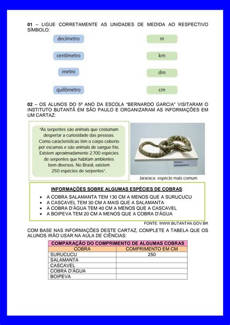 Atividades Medidas De Comprimento