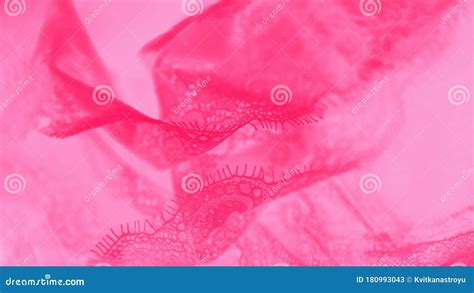 Vivid Pink Lace Lingerie On Pale Pink Background Stock Image Image Of Banner Pink