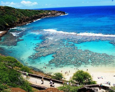 THE 15 BEST Things to Do in Honolulu (2025) - Must-See Attractions