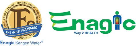 gold standard enagic kangan water manufacturer