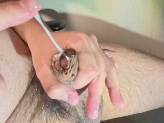 包茎チンポの勃起からオナニーによる射精まで Pornhub Gay