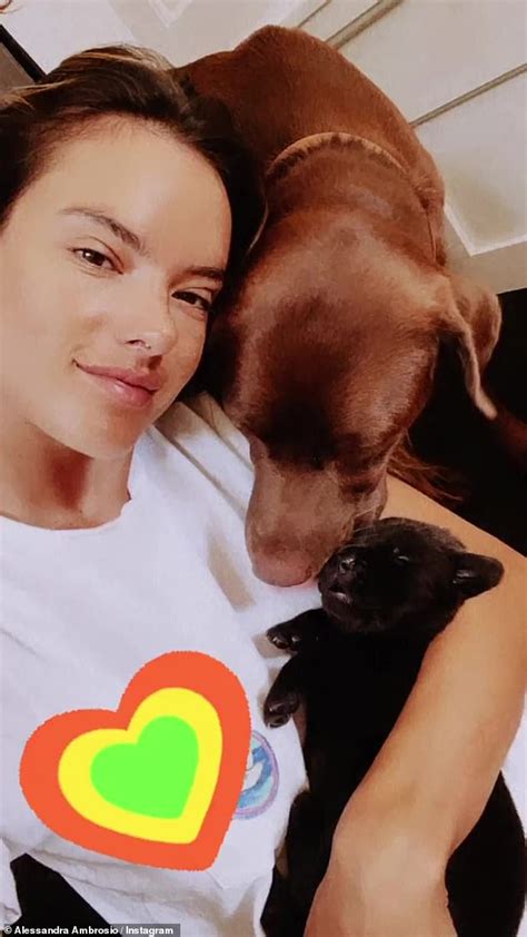 Alessandra Ambrosio Puts Her Statuesque Figure On Display In String Bikini During Beach