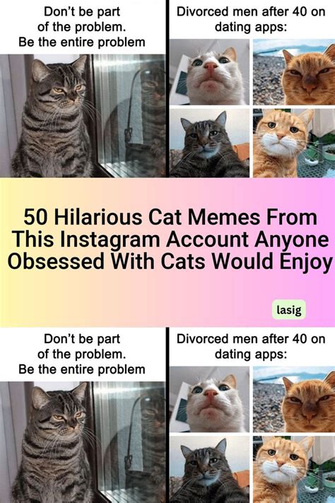 Pin by leezy on all that intresting | Cat memes, Memes, Funny cats