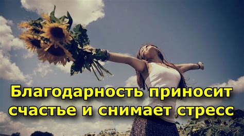 Благодарность приносит счастье и снимает стресс - YouTube