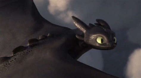 My Favourite Characters Toothless Httyd Wattpad