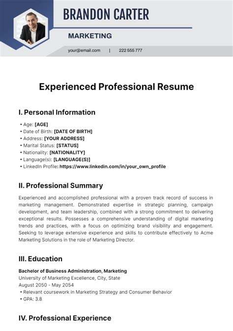 experienced professional resume template  edit