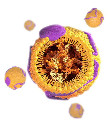 Medical Illustration Cholesterol Molecules A Kyu Design