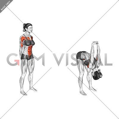 bend  stretch female