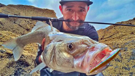 Pesca De Grandes Lubinas En La Espuma A Spinning Ultraligero