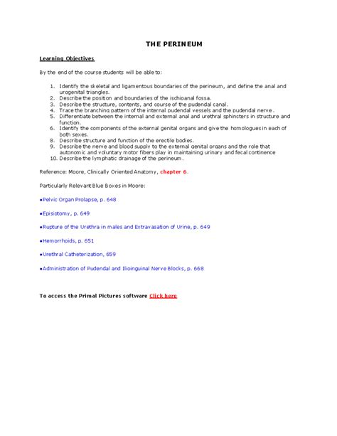 lecture   perineum anatomy  function studocu