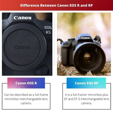 Canon Eos R Vs Rp Difference And Comparison