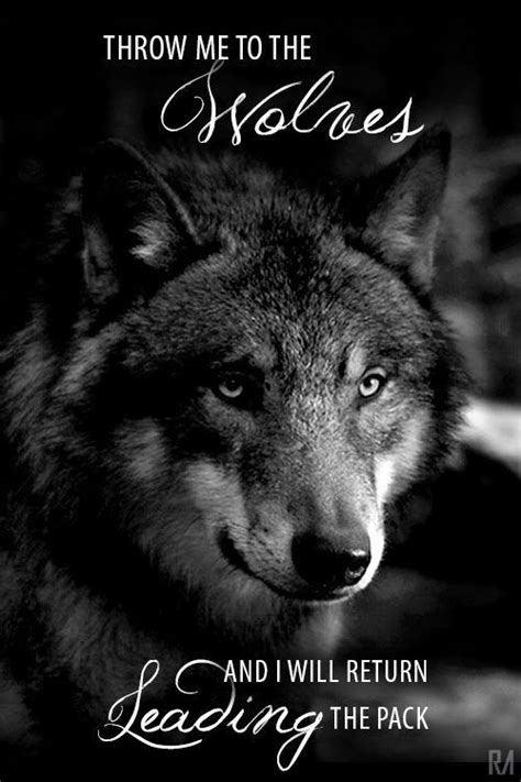 Throw Me To The Wolves And I Ll Come Back Leading The Whole Pack Wolf