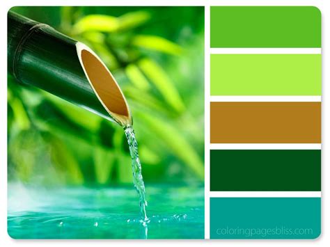 Color Schemes Colour Palettes Zen Colors Nature Inspiration