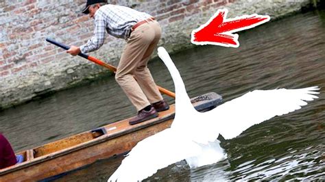 НЕНОРМАЛЬНЕЙШИЕ СИТУАЦИИ - YouTube