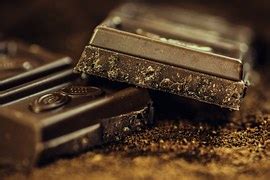 cocoa pods chocolate fresh  photo  pixabay