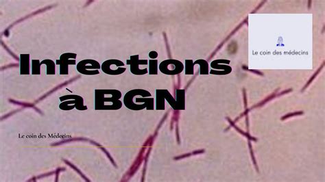 Infections Bgn Youtube