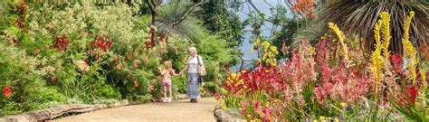 Garden Of Eden Key West Instagram Fasci Garden