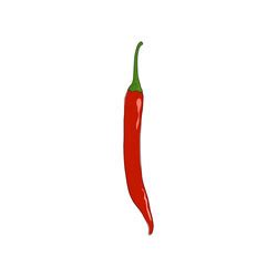 Red Hot Chili Pepper Icon Royalty Free Vector Image
