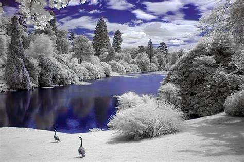 Style In Sight Infrared Photography