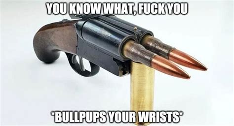 YOU KNOW WHAT FUCK YOU BULLPUPS YOUR WRISTS IFunny