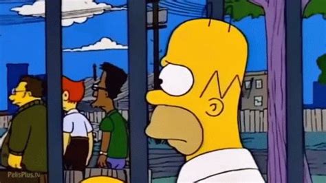 Homer Goes To College Homero Simpson GIF - Homer Goes To College Homero ...