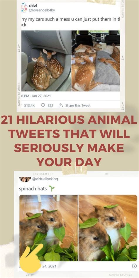 21 hilarious animal tweets that will seriously make your day – Artofit