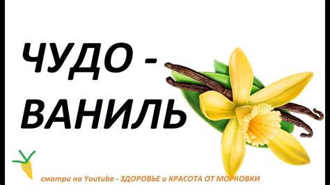 как лечить ГОЛОВНОЙ БОЛЬ И ПРЫЩИ чудо ВАНИЛЬЮ - YouTube