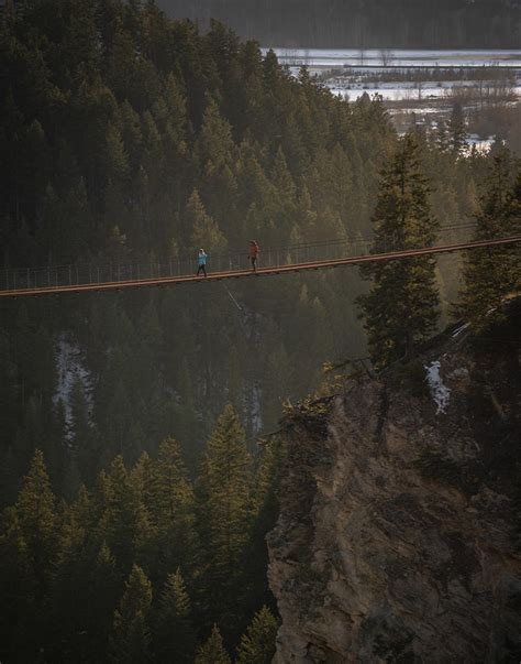 Golden Skybridge: Experience a Unique Thrill Alongside Epic Views