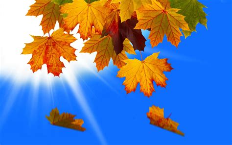 1920x1200 1920x1200 Free Desktop Leaf Coolwallpapersme