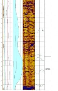 Borehole Geophysics | Subsurface Imaging & Utility Locating