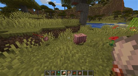 What Do Armadillos Eat In Minecraft?