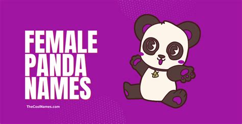 499+ Best Panda Names | Find The Best Name For Your Panda