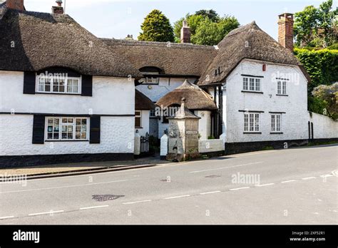 The Village Of Beer In Devon Uk England Beer Village Beer Street