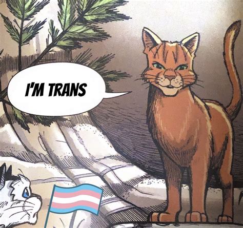 Super Turbo Cat Hell Happy Pride Month All The Warrior Cats Are Gay