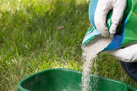 Подкормка газона: выбор удобрения для газонной травы