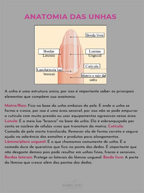 Qual A Função Da Unha - Cópia de Anatomia Da Unha - 20250504 - 123359 - 0000 | PDF