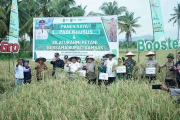 RRI Co Id Proses Produksi Pertanian Kalbar Belum Terdampak Perubahan