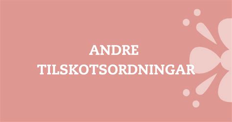 Andre Tilskotsordningar For Lag Og Medlemer FolkOrg Organisasjon