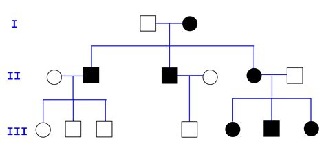 You are a genetic counselor, and several members of the family wh