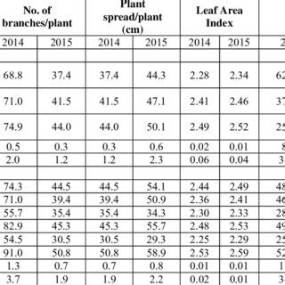 Effect Of Various Planting Geometry And Weed Control Practices On