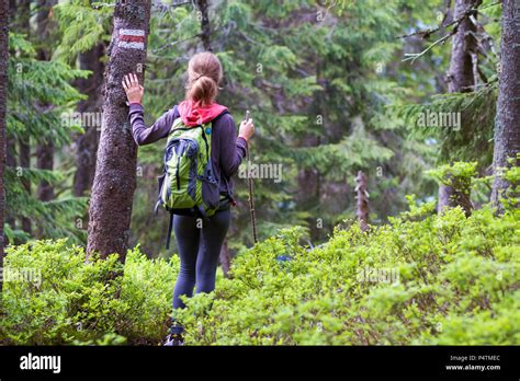 Vue arrière de slim blonde athlétique randonneur touristiques fille avec sac à dos et bâton de