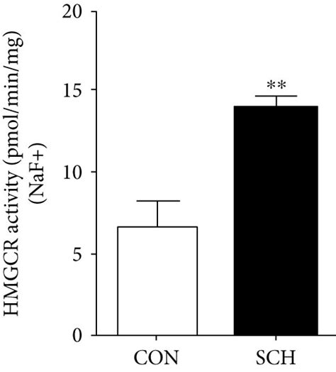 The Phosphorylation Of HMGCR And AMPK Decreased In SCH Mice A The